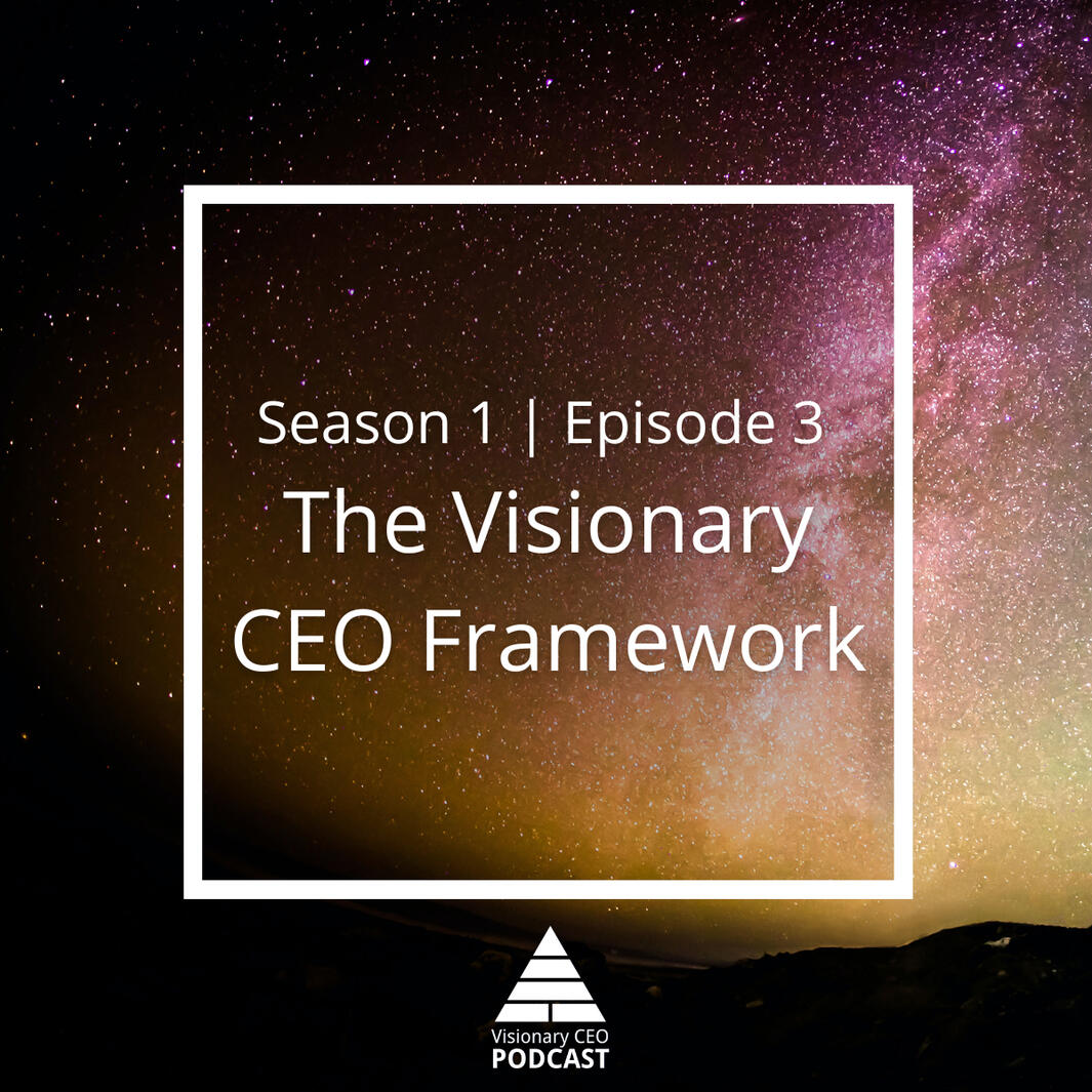 Visionary CEO Podcast
